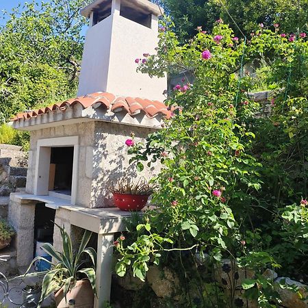 Mala Cele Apartment Podgora Phòng bức ảnh